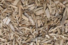 biomass boilers Sandylake
