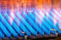 Sandylake gas fired boilers